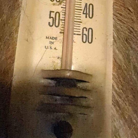 Vintage Rustic Indoor Thermometer - Picture 4 of 7